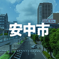 安中市で借りれる不動産担保ローン